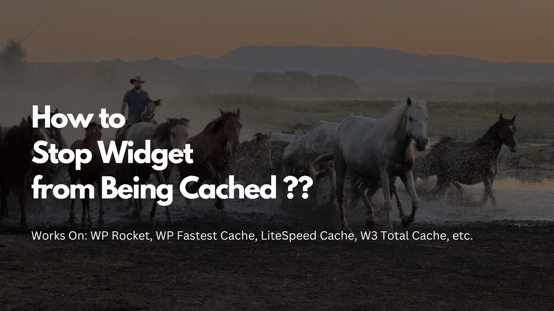 ðŸ›  WordPress Widget Display Issue with Cache? Here's the Fix!